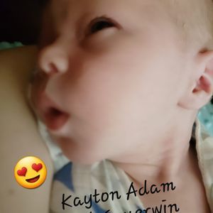 Meet your Posher, Hazel